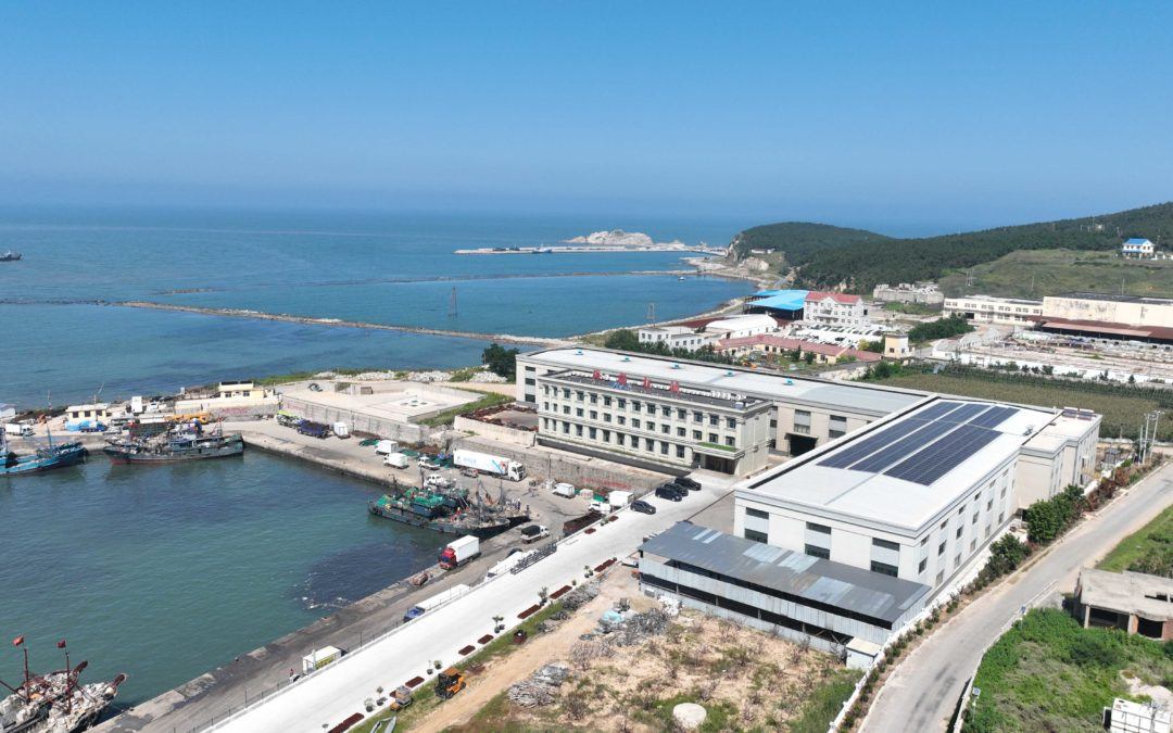 pg国际-不凡成就非凡,相信品牌的力量